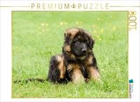 CALVENDO Puzzle CALVENDO Puzzle Sch&auml;ferhund - Welpe R&uuml;de, 500 Teile...