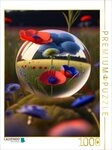 CALVENDO Puzzle CALVENDO Puzzle Ein Kornfeld mit Mohn- und Kornblumen spiegelt...