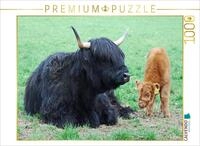 CALVENDO Puzzle CALVENDO Puzzle Schottische Hochlandrinder, 1000 Teile...