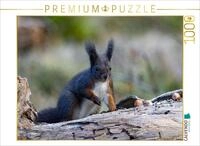 CALVENDO Puzzle CALVENDO Puzzle Ein Motiv aus dem Kalender Oachkatzl, 1000 Teile