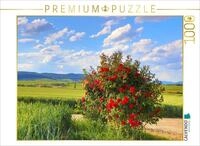 CALVENDO Puzzle CALVENDO Puzzle Fest der Rose an der S&uuml;dlichen Weinstrasse. Ein