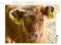 CALVENDO Puzzle CALVENDO Puzzle K&auml;lber - Kleine Herzensbrecher auf den Wiesen,...