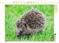 CALVENDO Puzzle CALVENDO Puzzle Niedlich kleiner Igel l&auml;uft durch das Gras, 500