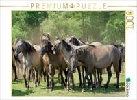 CALVENDO Puzzle CALVENDO Puzzle Stutenherde im Merfelder Bruch, 500 Teile