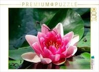 CALVENDO Puzzle CALVENDO Puzzle Libellen an einer Seerose, 500 Teile...