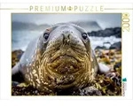 CALVENDO Puzzle CALVENDO Puzzle Mehr Charme pro Tonne., 2000 Teile Lege-Gr&ouml;&szlig;e...