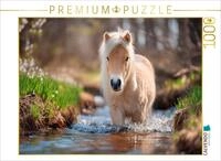 CALVENDO Puzzle CALVENDO Puzzle Shetlandpony - Abenteuer im Bach, 1000 Teile