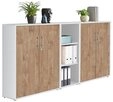 moebel-dich-auf Aktenschrank TABOR 8 (B&uuml;roschrank Aktenregal ideal f&uuml;r DIN A4