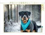 CALVENDO Puzzle CALVENDO Puzzle Rottweiler - Imposanter Begleiter im Schnee,...