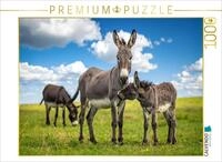 CALVENDO Puzzle CALVENDO Puzzle Eselstute und Fohlen, 1000 Teile Lege-Gr&ouml;&szlig;e...