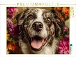 CALVENDO Puzzle CALVENDO Puzzle Farbenpracht und Hundegl&uuml;ck, 2000 Teile...
