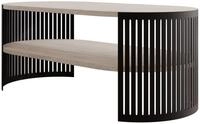 MIRJAN24 Couchtisch Fikoli Oval I (mit Regal), Gestell aus Stahl, 100x50x40 cm