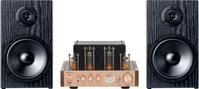 Bennett & Ross TA-70 R&ouml;hren-Design Stereoanlage Champagner, Bluetooth, 2x 35 W...