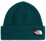 The North Face Strickm&uuml;tze The North Face M&uuml;tze Salty Lined Beanie 8CGZ