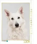 CALVENDO Puzzle CALVENDO Puzzle Berger Blanc Suisse, 1000 Teile Lege-Gr&ouml;&szlig;e 64...