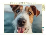CALVENDO Puzzle CALVENDO Puzzle Frischer Wind und treue Augen, 2000 Teile