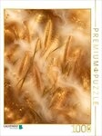 CALVENDO Puzzle CALVENDO Puzzle Ein Motiv aus dem Kalender Bl&uuml;ten in der...