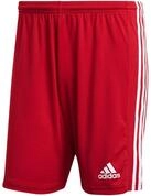adidas Performance Trainingsshorts Squadra 21