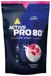 Inkospor Inkospor Pro 80 - 500g Pulver