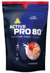 Inkospor Inkospor Pro 80 - 500g Pulver