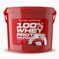 Scitec Nutrition Scitec Nutrition 100% Whey Protein Professional 5000g Pulver