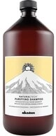 Davines Haarshampoo Davines Naturaltech Purifying Shampoo 1000 ml