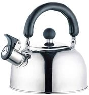 BURI Wasserkocher Edelstahl Fl&ouml;tenkessel 2 Liter Pfeifkessel Wasserkocher