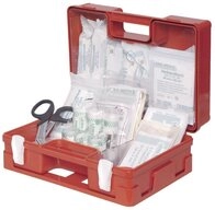 B-Safety Erste-Hilfe-Koffer B-SAFETY BR364169 Erste Hilfe Koffer DIN 13169 310 x 210