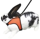 Kerbl Geschirr Nagergeschirr Sport 22 cm - 26 cm 82749