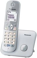 Panasonic Festnetztelefon (DECT)