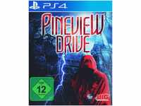 Pineview Drive Playstation 4