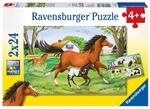 Ravensburger Puzzle 2 x 24 Teile Ravensburger Kinder Puzzle Welt der Pferde...