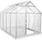 Zelsius Gew&auml;chshaus Aluminium Gew&auml;chshaus mit Fundament, 250 x 190 cm, 6 mm
