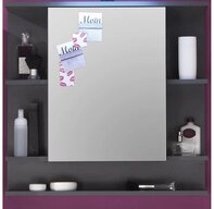 trendteam Spiegelschrank Tetis Badezimmerspiegel Badschrank Spiegel Badspiegel