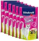 Vitakraft Katzensnack Cat Yums, Huhn & Katzengras, 9 x 40g, Snack f&uuml;r: Katzen