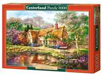 Castorland Twilight at Woodgreen Pond