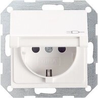 GIRA Lichtschalter GIRA Einsatz Schutzkontakt-Steckdose System 55, Standard 55, E2,