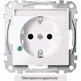 merten Klemmen Merten SCHUKO-Steckdose aws/gl MEG2305-0325