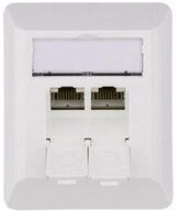 Teleg&auml;rtner Netzwerk-Anschlussdose CAT 6A mit 2 RJ45 Buchsen 100023002
