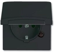 Busch-Jaeger Steckdose Busch-Jaeger Schuko-Steckdoseneinsatz IP44 anthrazit 20