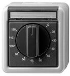 GIRA Schalter, Zeitschalter mechanisch 1S WG Aufputz grau 0-120 min Aufputz 250V