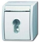 Busch-Jaeger Busch-Jaeger Schl&uuml;sselschalter 2733 SLW-54 Wandtaster