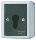 JUNG Schalter Jung Schl&uuml;sselschalter 16AX 250V 2-pol. 806.28 G