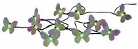 STAR LED Solarleuchte 477-12 LED Solar-Lichterkette Schmetterlinge