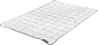Badenia Trendline Baumwollbettdecke Badenia Trendline&reg; Steppbett Clean Cotton
