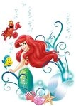 Komar Wandtattoo Arielle - Gr&ouml;&szlig;e 50 x 70 cm (9 St), selbstklebend, Wandsticker,