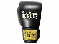 Benlee Rocky Marciano Boxhandschuhe EVANS