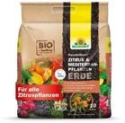 Neudorff Spezialerde Neudohum Mediterranpflanzen- und PalmenErde 10 Liter