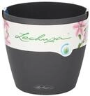 Lechuza&reg; Pflanzk&uuml;bel Blumentopf Classico Color 21 schiefergrau (Komplettset)