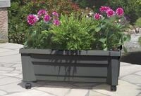 KHW Pflanzk&uuml;bel, Pflanzkasten auf Rollen mit Bew&auml;sserungssystem, BxTxH: 79x35x33 cm